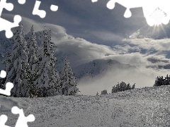 Spruces, winter, clouds, Mountains, rays of the Sun