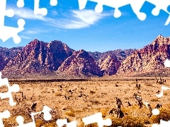 Desert, Mountains