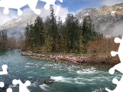 Mountains, Fog, trees, viewes, River