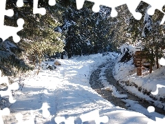 forest, winter, Mountains, stream