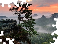 Fog, trees, Germany, pine, Saxon Switzerland National Park, rocks, Mountains, Great Sunsets