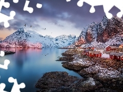 Mountains, Norway, Houses, birds, Reine Village, Lofoten