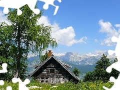 hut, viewes, Mountains, trees