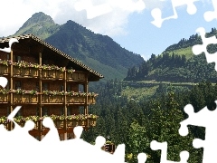 Austria, Damuls, trees, Madlener, Hotel hall, Mountains, viewes