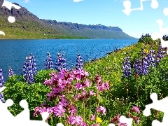 Meadow, River, Mountains, Flowers