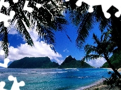 sea, Palms, Mountains, Beaches