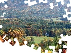 small, forest, Mountains, church