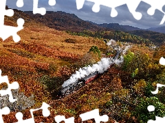 Train, Mountains, trees, viewes, autumn