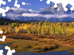 trees, Backwaters, Mountains, viewes