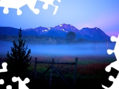 trees, Fog, Mountains, Hurdle