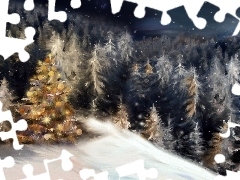 Mountains, winter, forest, christmas tree, Spruces