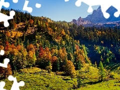 Karwendel, Austria, Mountains, woods, autumn, Tirol