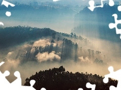 Mountains, woods, sun, Fog, rays