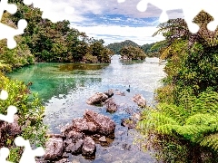 Mountains, woods, Stones, fern, River