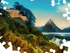 New Zeland, Bush, mountains