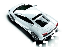 White, Lamborghini Murcielago