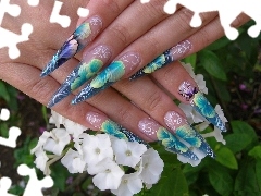 Nails, Flowers, hands, color, Women