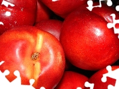 nectarines