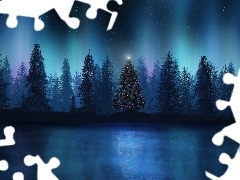 illuminated, forest, Night, christmas tree