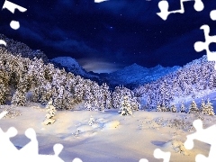 Mountains, snow, Night, forest