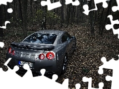 Nissan GTR, forest