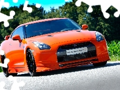 Nissan GT-R Konigseder