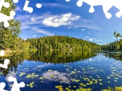 Norway, lake, forest