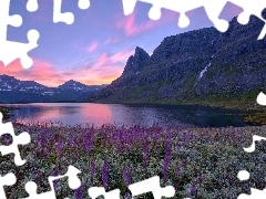 Meadow, Mountains, Norway, lake