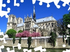 chair, Paris, France, Notre Dame