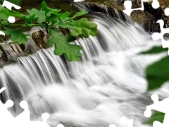 oak, waterfall, Leaf