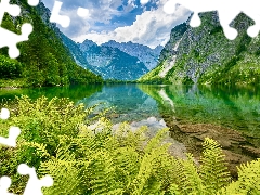 Mountains, Berchtesgaden National Park, Alps, trees, Bavaria, Germany, fern, Obersee Lake, viewes