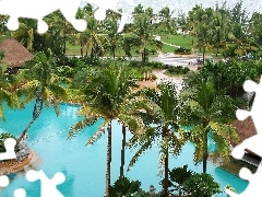 Palms, horizon, Ocean, Pool