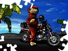 Monkey, on a motorcycle