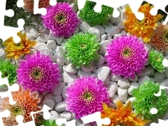 Orange, Flowers, Pink, green ones, color