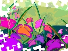 Orange, texture, Pink, purple, Flowers