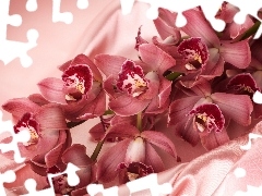 Orchidee, satin, Pink