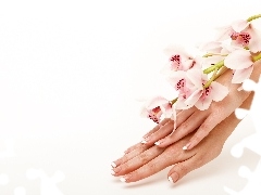 orchids, hands, Womens