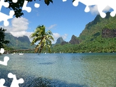 Gulf, Island, Palm, Mountains, water, Moorea