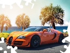 Bugatti, Palms