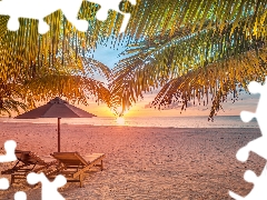 Palms, sea, Umbrella, Beaches, Maldives, deck chair, Great Sunsets