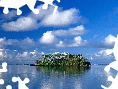 Island, Palms