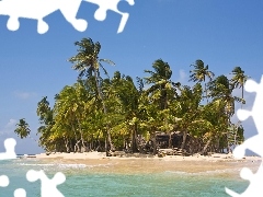 Palms, small, Islet