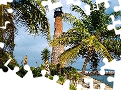 Palms, Lighthouse, maritime