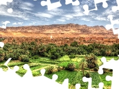 Mountains, crops, Palms, Town