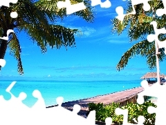 Palms, sea, pier