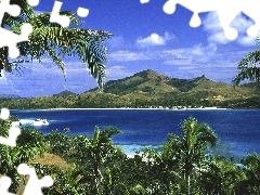 River, Passenger Ships, Palms, Mountains