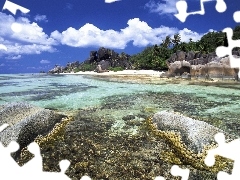 Palms, water, rocks