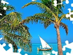 Palms, Boat, sea