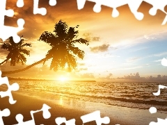 west, sea, Palms, sun