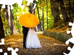 young, Umbrella, autumn, Steam